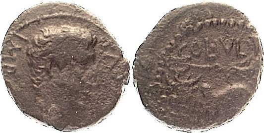 PHONEIA, BERYTOS, AUGUSTUS, oxen